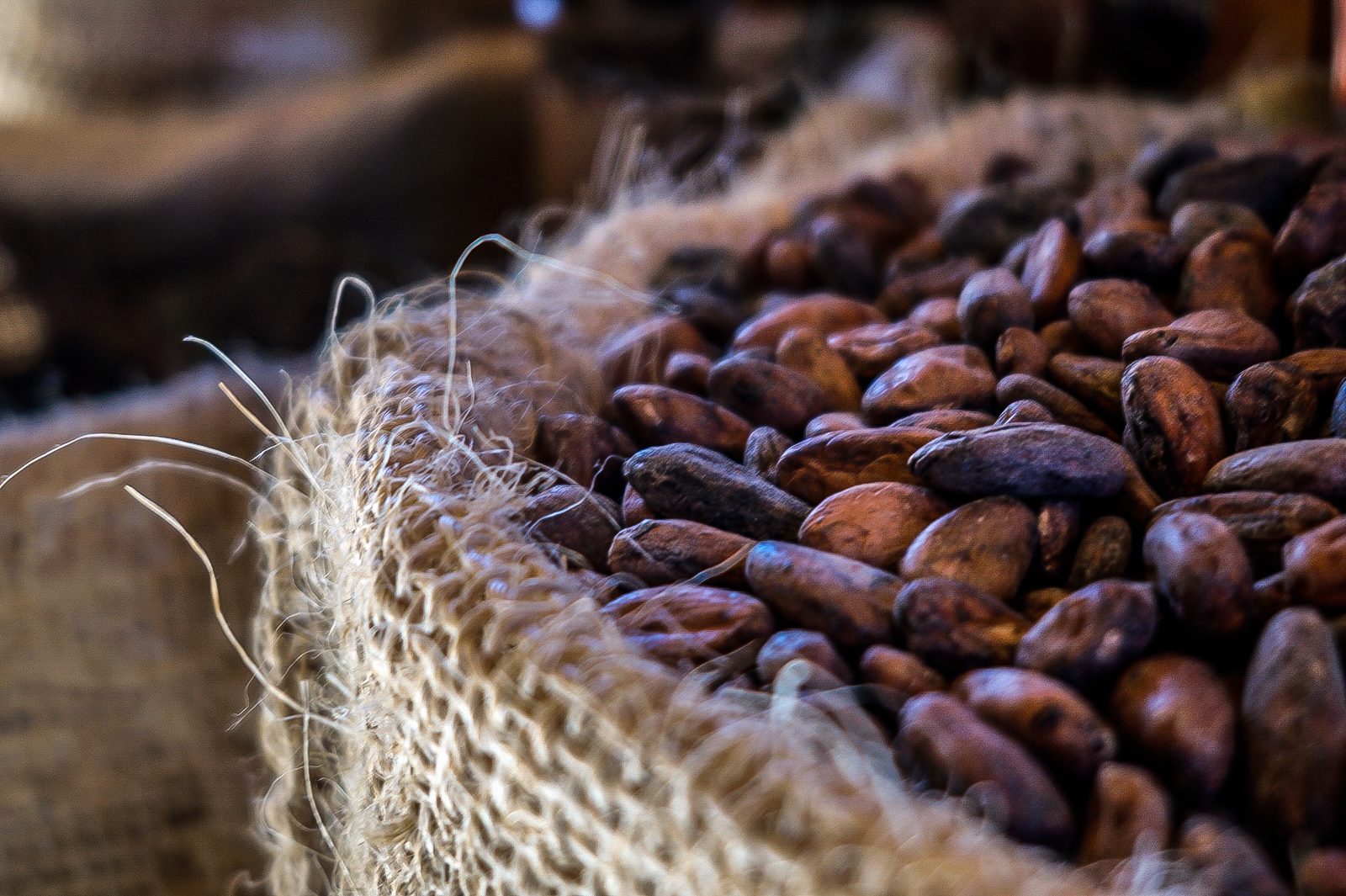 Mexican Chocolate